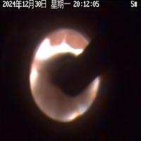 Dataset Image