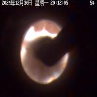 Dataset Image