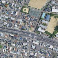 Dataset Image
