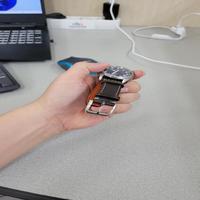 Dataset Image