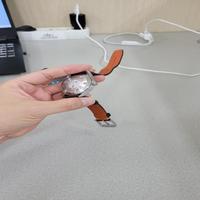 Dataset Image