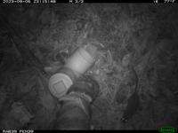 Dataset Image