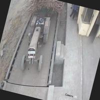Dataset Image