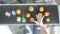 Dataset Image