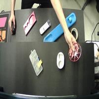 Dataset Image
