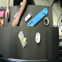 Dataset Image