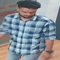 Dataset Image