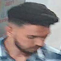 Dataset Image
