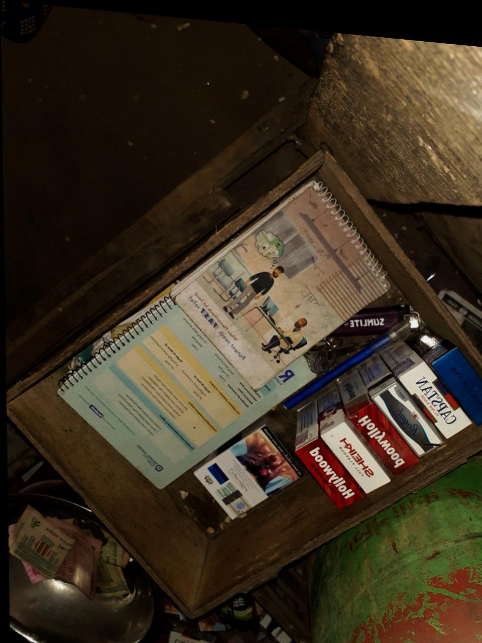 Dataset Image