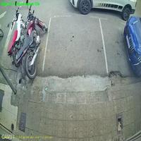 Dataset Image