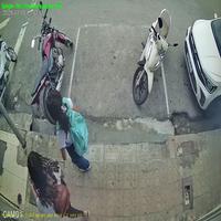 Dataset Image