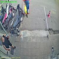 Dataset Image