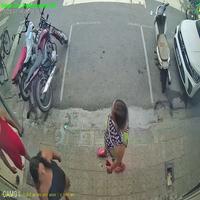 Dataset Image