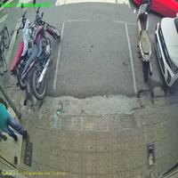 Dataset Image