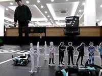 Dataset Image