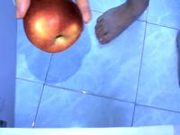 Dataset Image