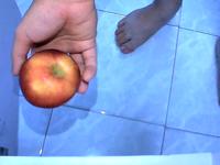 Dataset Image