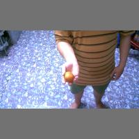 Dataset Image