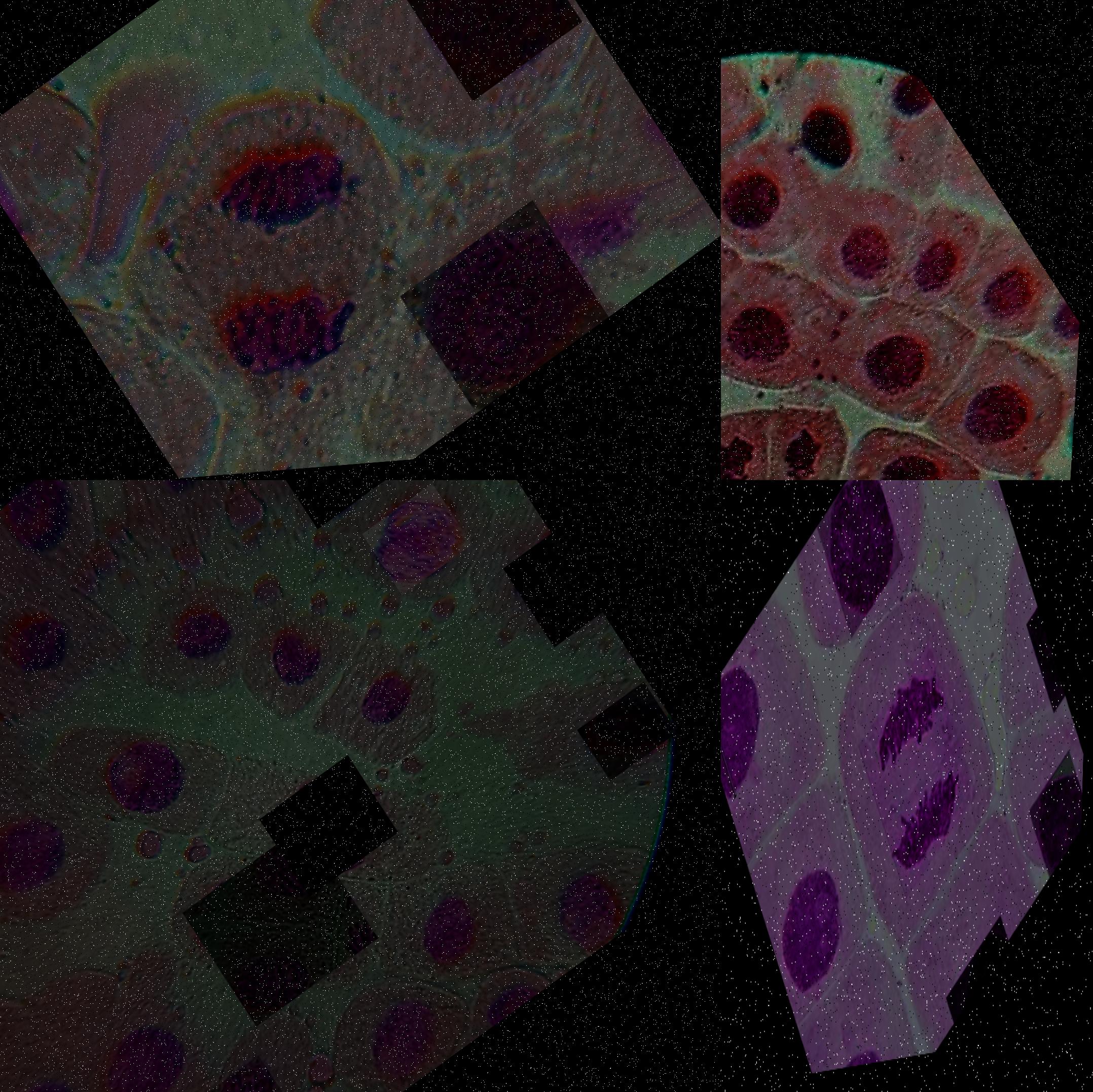 Dataset Image