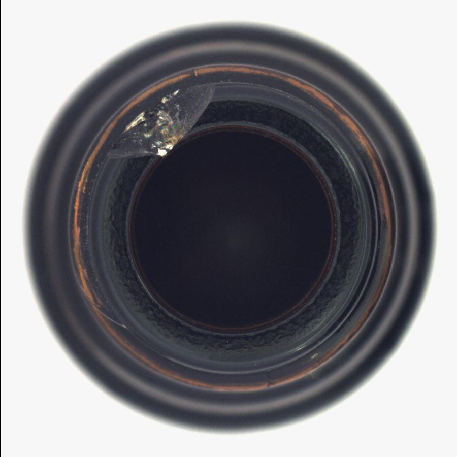 Dataset Image
