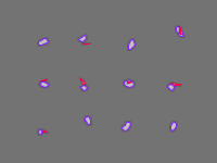 Annotation Visualization