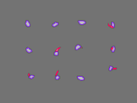 Annotation Visualization