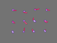 Annotation Visualization