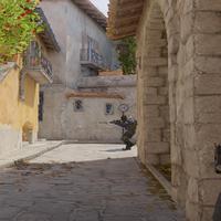 Dataset Image