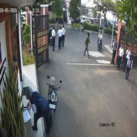 Dataset Image