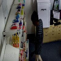 Dataset Image