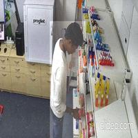 Dataset Image