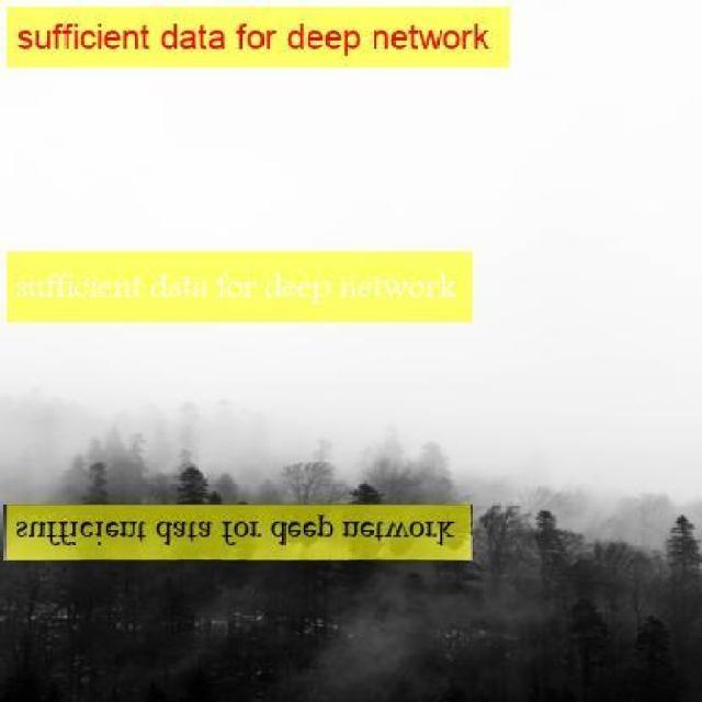 Dataset Image