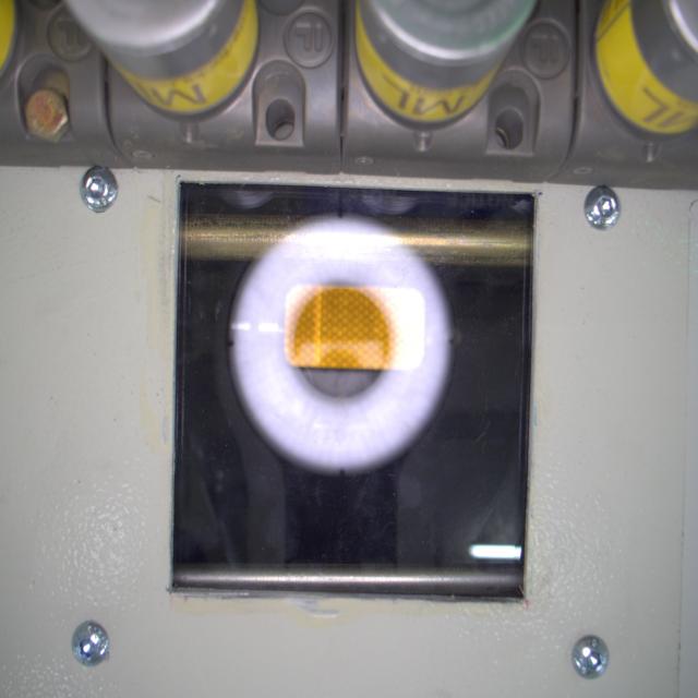Dataset Image