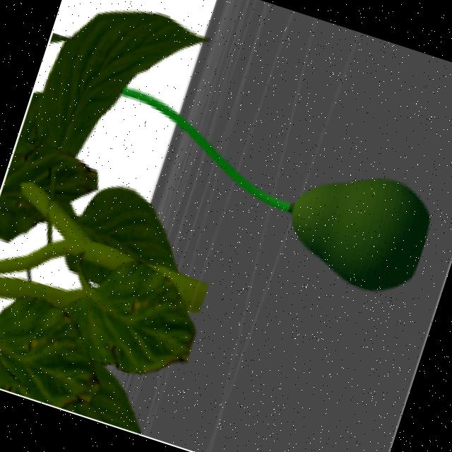 Dataset Image