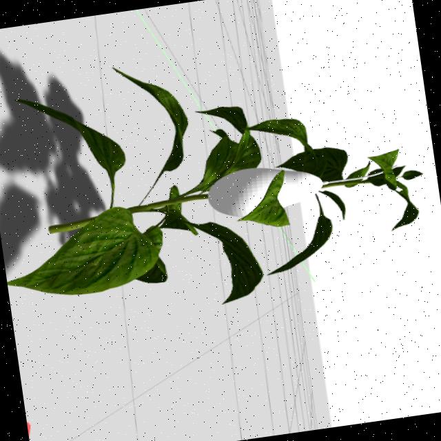 Dataset Image