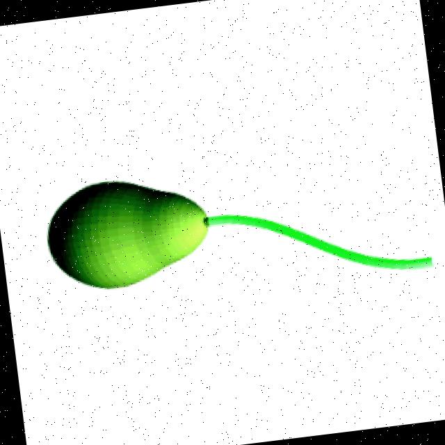 Dataset Image