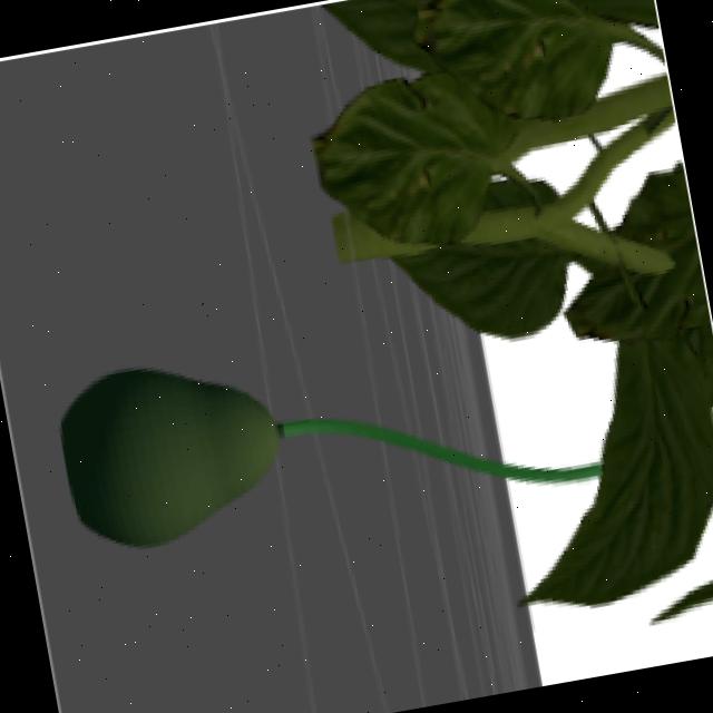 Dataset Image