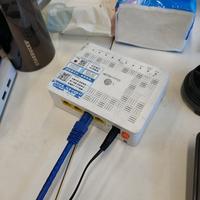 Dataset Image