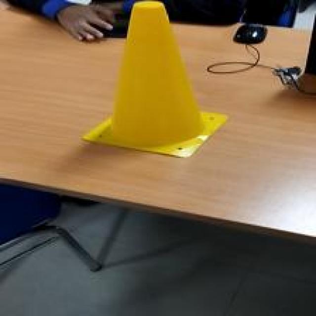 Dataset Image