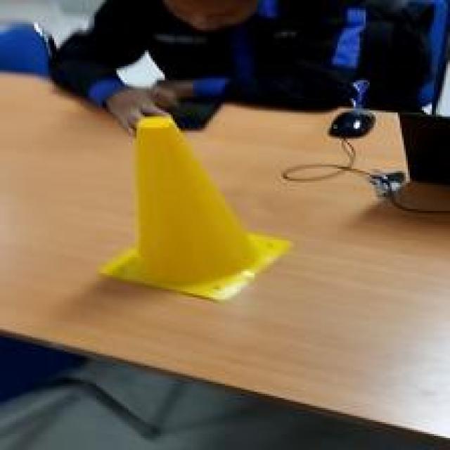 Dataset Image