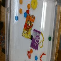 Dataset Image
