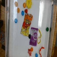Dataset Image