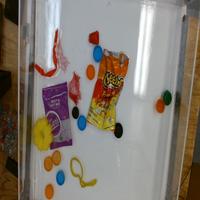 Dataset Image