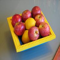 Dataset Image
