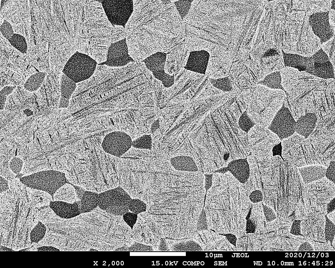 Dataset Image