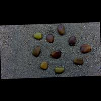 Dataset Image