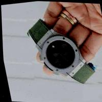 Dataset Image