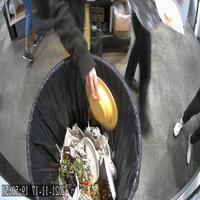 Dataset Image