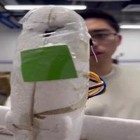 Dataset Image