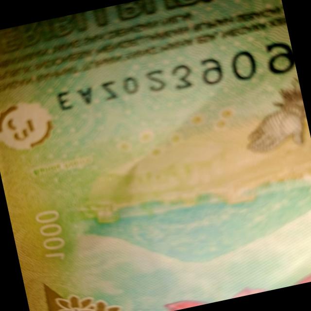 Dataset Image